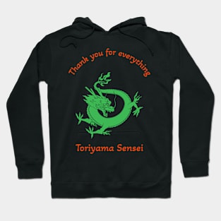 year of the dragon 2024 Hoodie